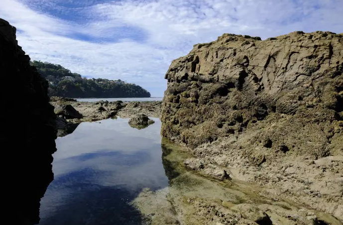 Costa Rica presenta plan para reducir residuos marinos al 2030