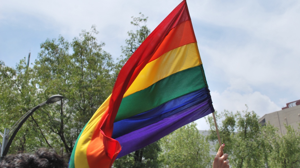 17 de mayo: Día Internacional contra la Homofobia, la Transfobia y la Bifobia