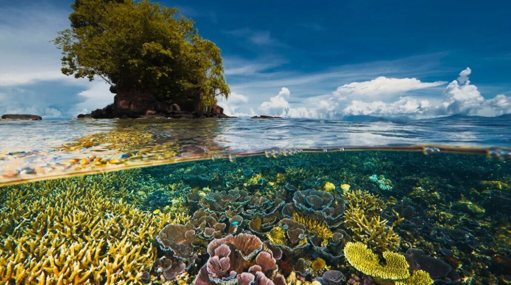 22 de mayo: Día Internacional de la Diversidad Biológica | 3 | Diversidad Biológica