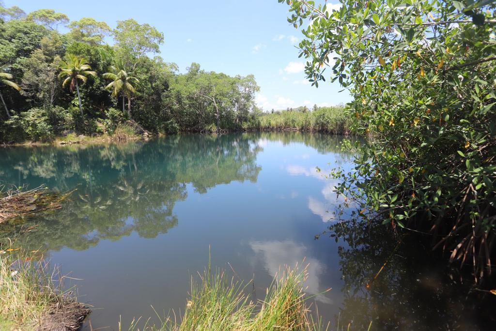 Plantean soluciones a problemática medioambiental de Samaná