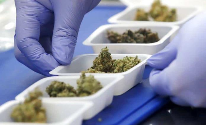 Miami permitirá abrir su primer dispensario de marihuana medicinal