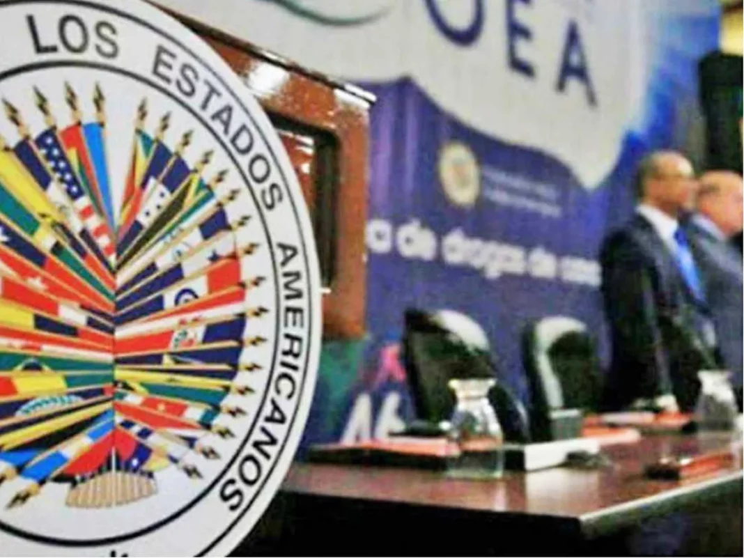 Delegación de OEA visitará el país para hablar sobre mujeres en la política