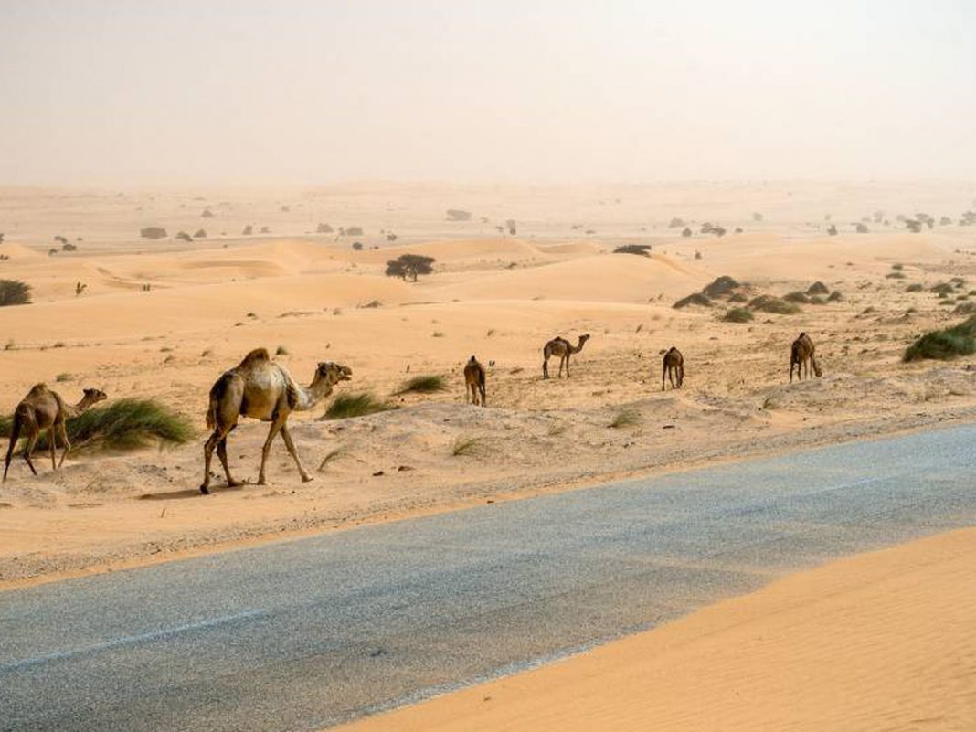 Hallan cadáveres de 4 buscadores de oro tras perderse en desierto mauritano