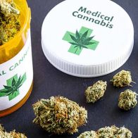 ¡Sin zombis ni excesos! La marihuana cumple 5 años en las farmacias de Uruguay - Noticias de hoy en República Dominicana | De Último Minuto