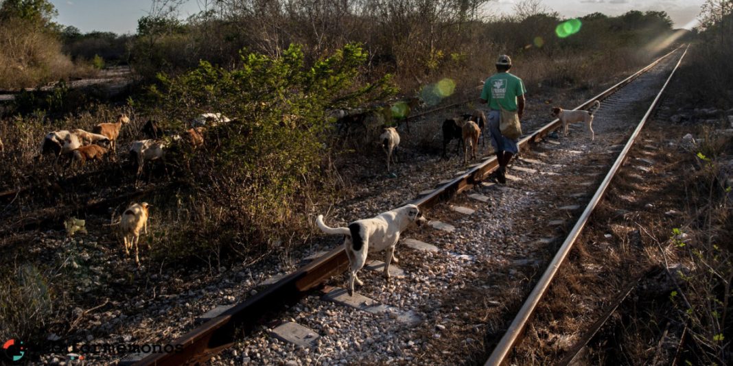 Denuncian ante Unesco daños a patrimonio arqueológico por Tren Maya en México