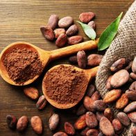 7 de julio: Día Mundial del Cacao, "el alimento de los Dioses" - Noticias de hoy en República Dominicana | De Último Minuto