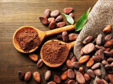7 de julio: Día Mundial del Cacao, "el alimento de los Dioses" - Noticias de hoy en República Dominicana | De Último Minuto