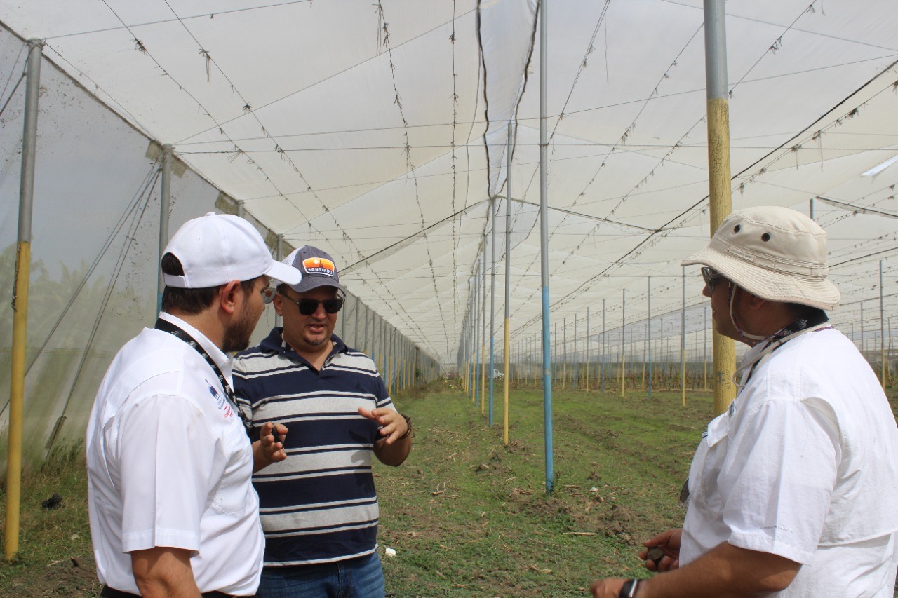 Claudio Caamaño socializa política de tecnificación de riego con productores de la región noroeste - Noticias de hoy en República Dominicana | De Último Minuto