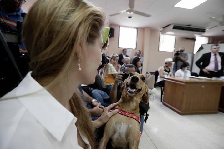 Primer juicio penal por maltrato animal hace historia en México