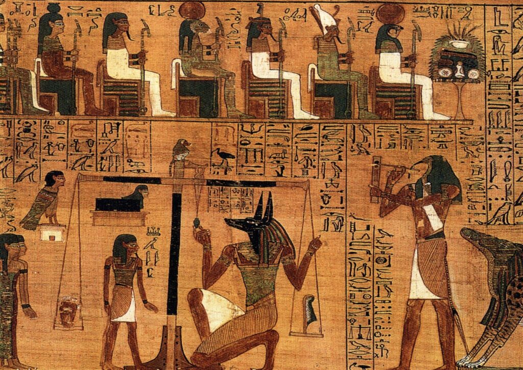 8 de agosto: Día Internacional del Gato, una celebración para nuestros compañeros felinos | 6 | Gato