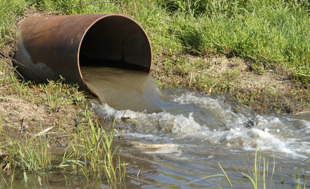 Solicitan apertura a juicio contra empresa porcicultora por contaminación de ríos