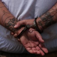 Arrestan hombre que le enviaron desde USA 26 pistolas, tres fusiles y un revolver en tanques de comida - Noticias de hoy en República Dominicana | De Último Minuto