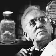 Un día como hoy, el bacteriólogo Alexander Fleming, descubre la penicilina - Noticias de hoy en República Dominicana | De Último Minuto