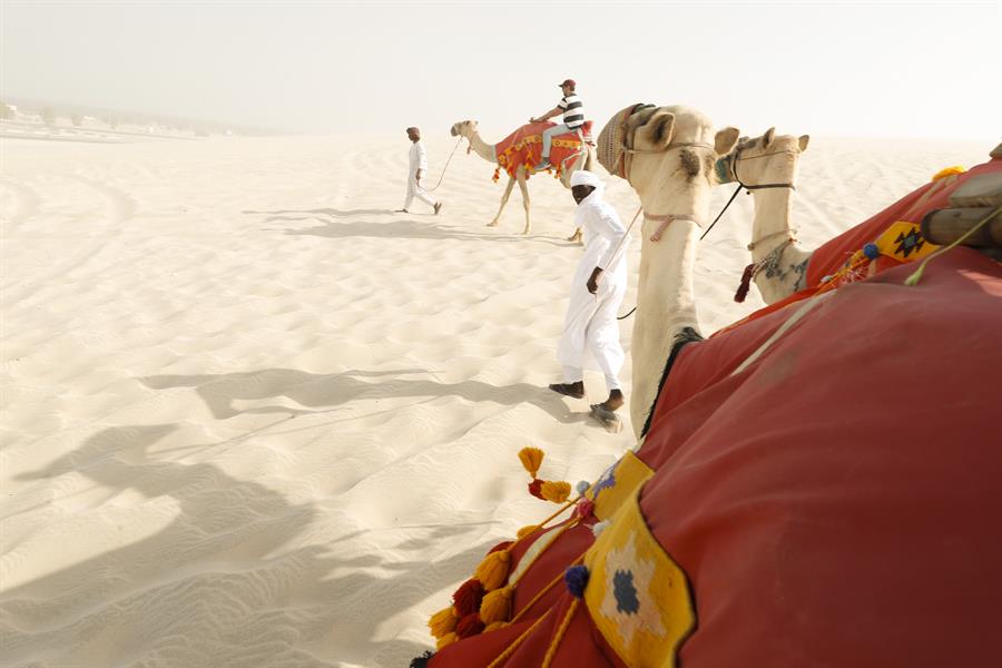 En camello por el desierto blanco de Qatar