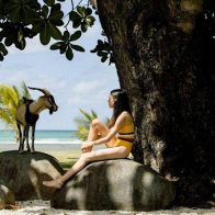 Filme dominicano "Carajita" compite por el Goya a la mejor película iberoamericana - Noticias de hoy en República Dominicana | De Último Minuto