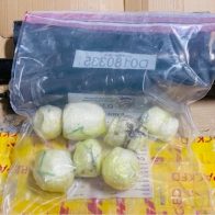 Ocupan en AILA casi un kilo de cocaína escondidos en pieza de motores  - Noticias de hoy en República Dominicana | De Último Minuto