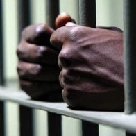 Policía apresa haitiano por homicidio de compatriota en Los Bajos de Haina - Noticias de hoy en República Dominicana | De Último Minuto