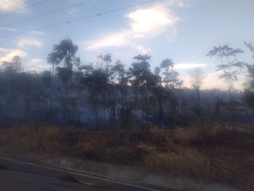 Incendios reducen a cenizas una vivienda y finca de pastos en Línea Noroeste | 3 | Incendios reducen a cenizas una vivienda y finca de pastos en Línea Noroeste