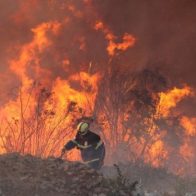 Chile pide ayuda internacional contra incendios  - Noticias de hoy en República Dominicana | De Último Minuto
