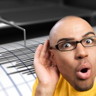 ¿Sabías que los sismos se pueden escuchar? - Noticias de hoy en República Dominicana | De Último Minuto
