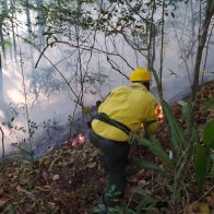 Bomberos intentan sofocar incendios forestales en Barahona - Noticias de hoy en República Dominicana | De Último Minuto