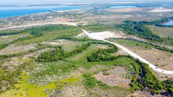 Medio Ambiente paraliza los trabajos del muro fronterizo en área protegida