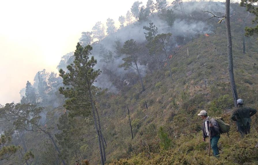 Medio Ambiente reporta incendio en Valle Nuevo ha disminuido