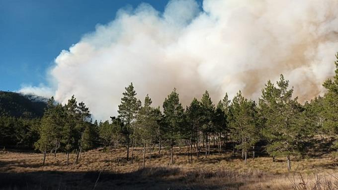 Medio Ambiente asegura neutralizarán incendio en Valle Nuevo