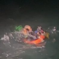 Bomberos rescatan a perrita que llevaba más de dos horas nadando en aguas del Mar Caribe - Noticias de hoy en República Dominicana | De Último Minuto