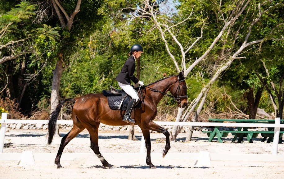 Puntacana Equestrian Center realiza 1ra y 2da competencia nacional de adiestramiento en Puntacana Resort & Club