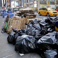Nueva York cambia horario para sacar la basura en su lucha contra las ratas - Noticias de hoy en República Dominicana | De Último Minuto