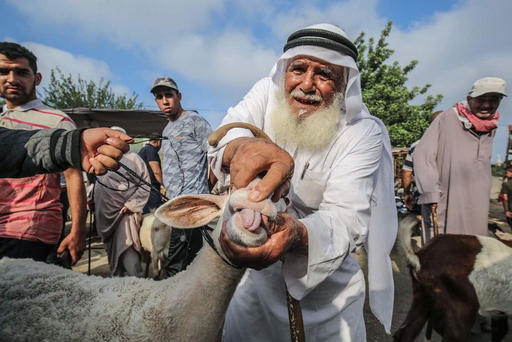 Egipto vive la fiesta del cordero con pocos sacrificios por la subida de precios