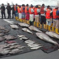 Día Internacional de la Lucha Contra la Pesca Ilegal no declarada y no reglamentada - Noticias de hoy en República Dominicana | De Último Minuto