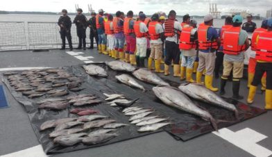 Día Internacional de la Lucha Contra la Pesca Ilegal no declarada y no reglamentada - Noticias de hoy en República Dominicana | De Último Minuto