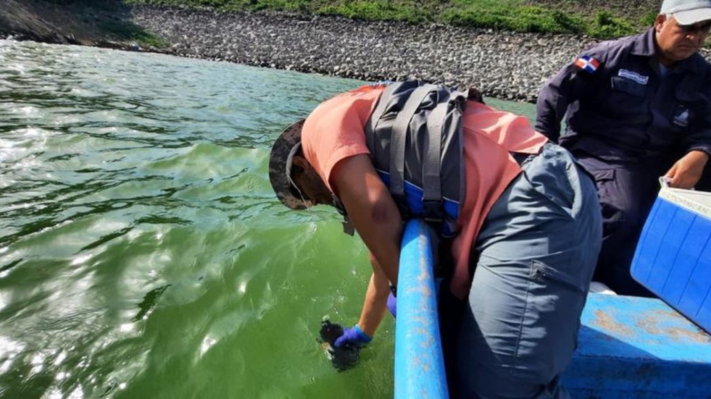 Resultados preliminares: floración de algas pudo provocar muerte de peces en presa de Hatillo