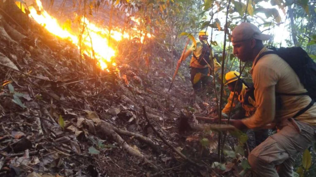 Bomberos forestales trabajan para extinguir incendio registrado en Saltos de Jima
