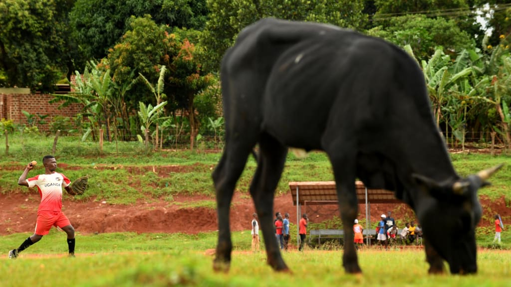 De Uganda a la MLB Draft League, Dennis Kasumba busca hacer historia | De Último Minuto