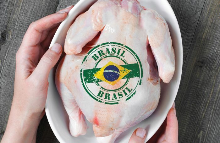 Brasil pide a Japón la reanudación de las importaciones de pollo tras casos de gripe aviar