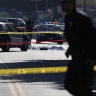 Muere un guardia de seguridad en Hollywood tras recibir una paliza - Noticias de hoy en República Dominicana | De Último Minuto