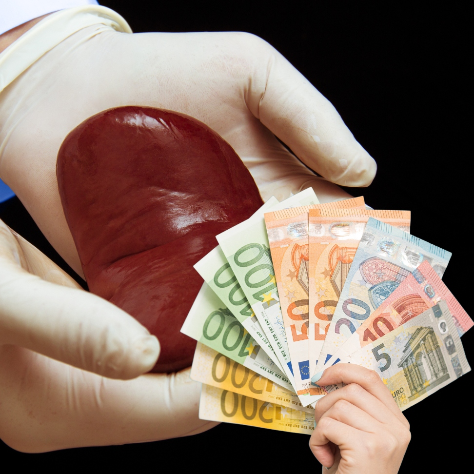 Desmantelan red de tráfico de órganos que cobraba 8.000 euros por riñón en Indonesia
