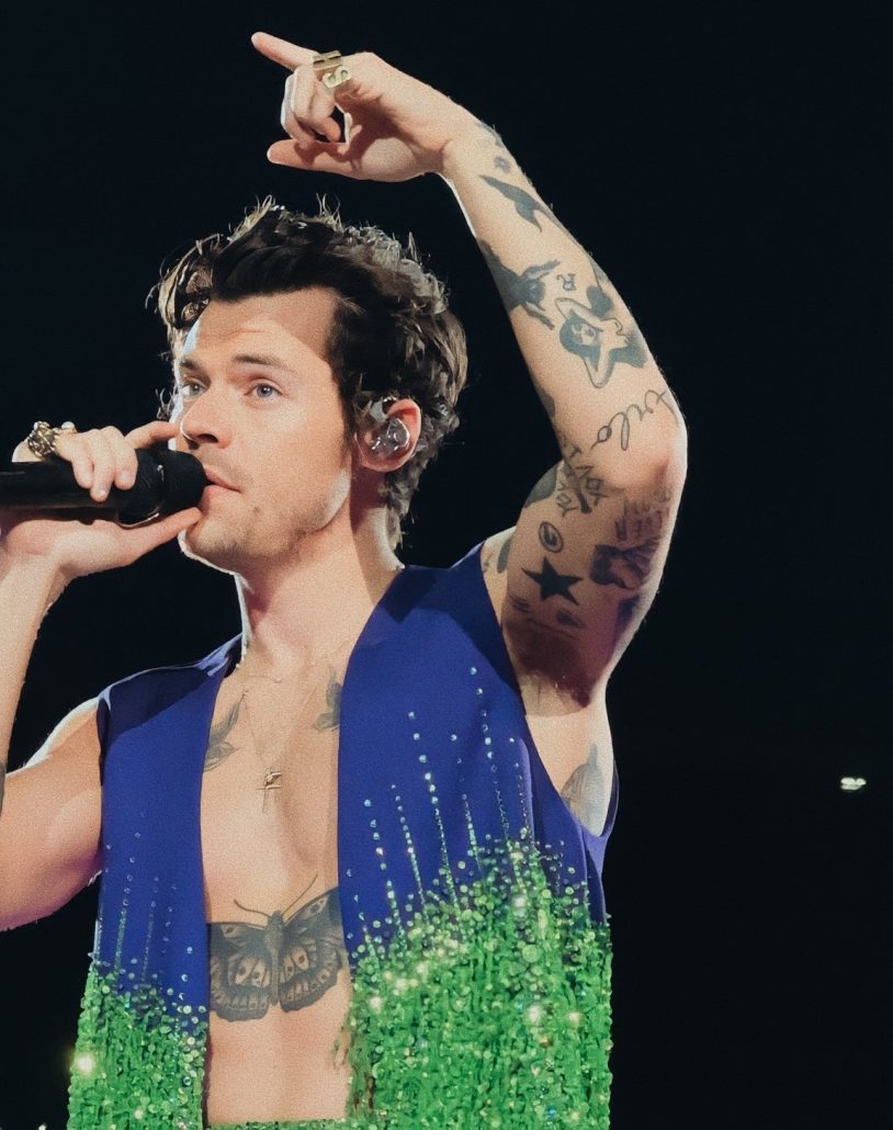 Harry Styles fue golpeado por un objeto durante concierto en Viena