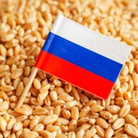 Rusia responde a la ONU que es "imposible" reanudar el acuerdo del grano