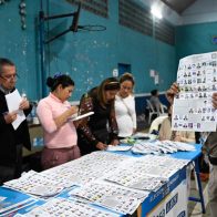OEA: no se detectó irregularidades en revisiones de actas electorales de Guatemala - Noticias de hoy en República Dominicana | De Último Minuto