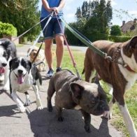 Hallan vivo joven que desapareció hace 8 años cuando paseaba sus perros en EEUU - Noticias de hoy en República Dominicana | De Último Minuto