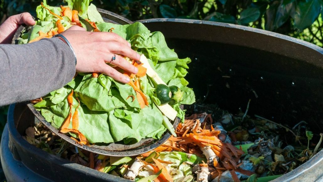 El desperdicio de alimentos genera pérdidas mundiales de 400.000 millones