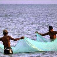 Gobierno establece veda por dos años a pesca de varias especies - Noticias de hoy en República Dominicana | De Último Minuto