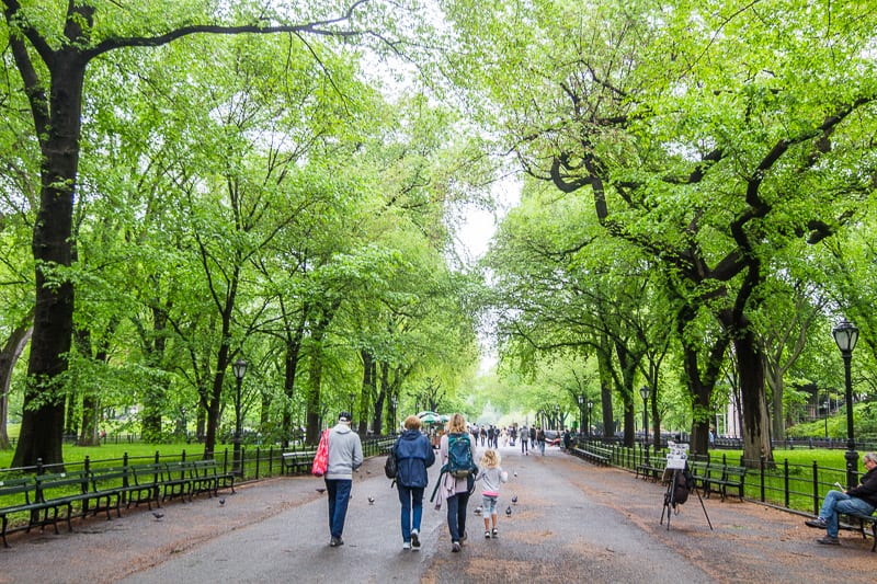 Mujer herida al caerle un árbol de Central Park pagará 5,5 millones