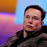 Acusan a la empresa de Musk, Neuralink, de maltrato animal por muerte de monos - Noticias de hoy en República Dominicana | De Último Minuto