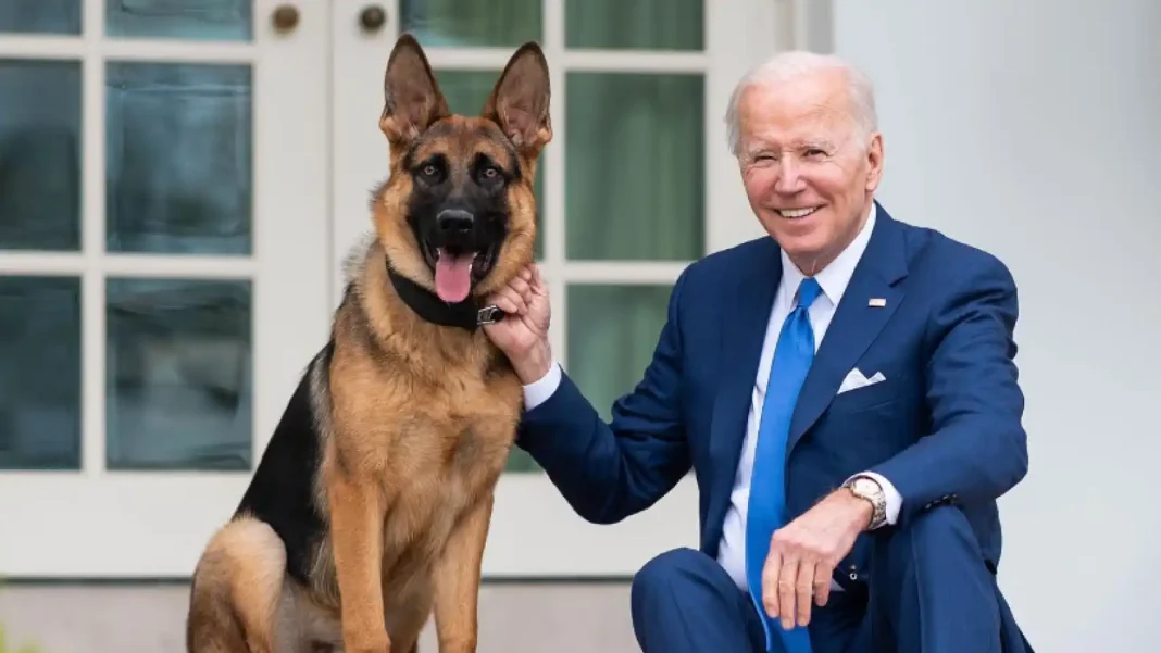 Perro del presidente Biden vuelve a morder un agente del servicio secreto