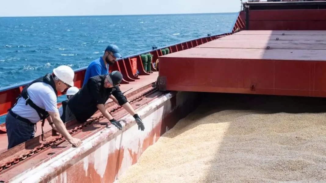 Ucrania reclama más seguridad para exportar su cereal a través del mar Negro